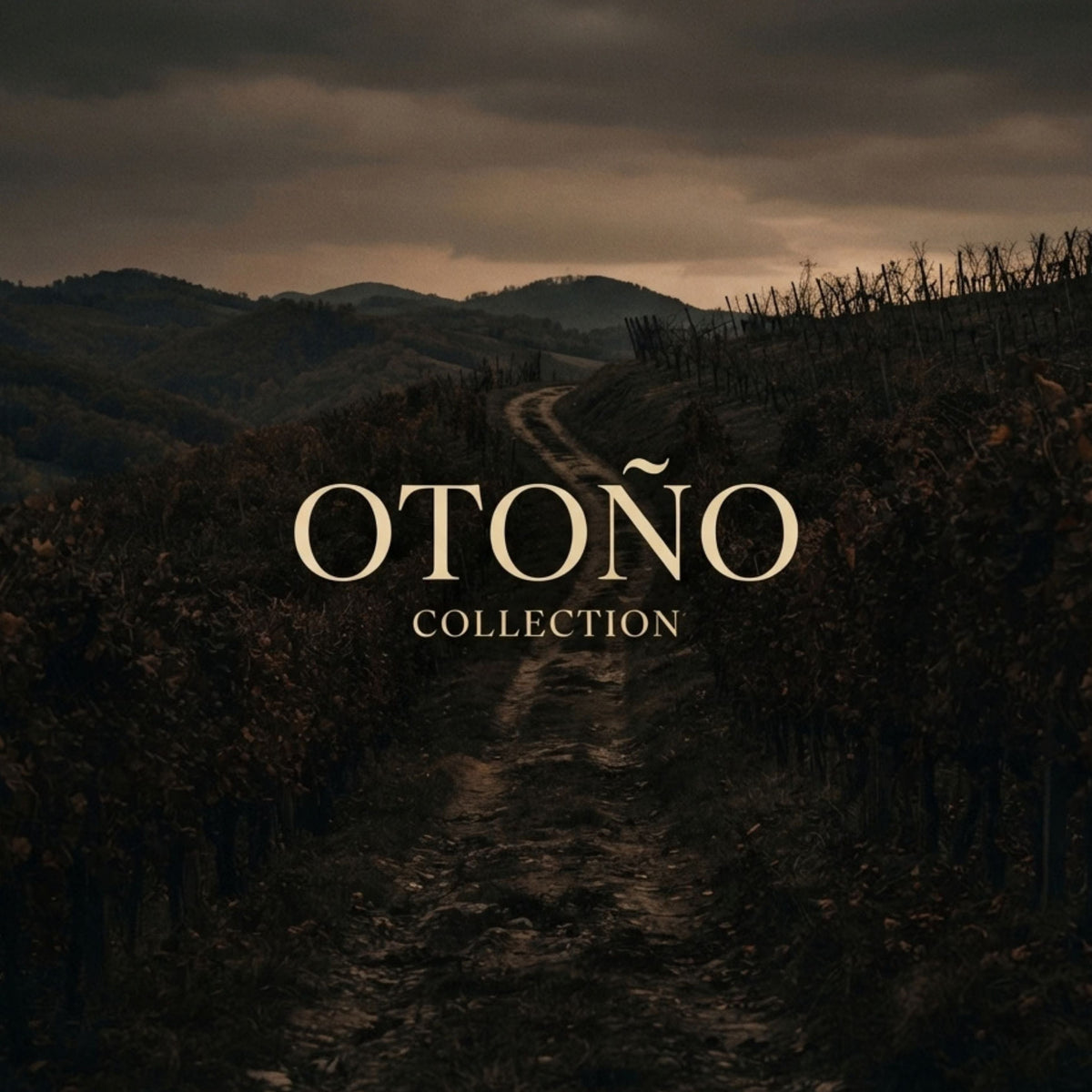 OTOÑO